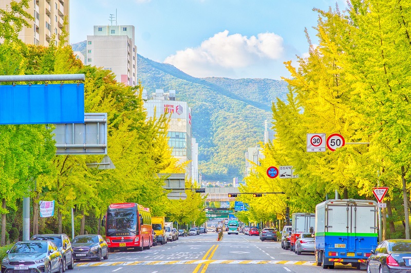 mùa thu lá vàng Hàn Quốc