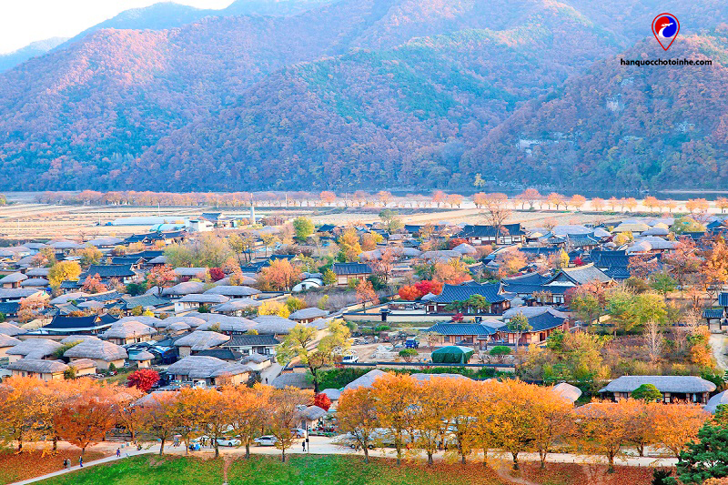 Tỉnh Gyeongsang Bắc