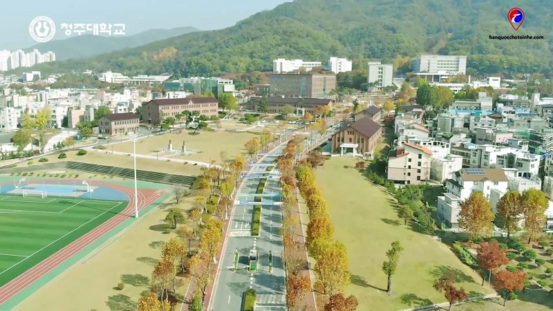 Trường Đại học Cheongju