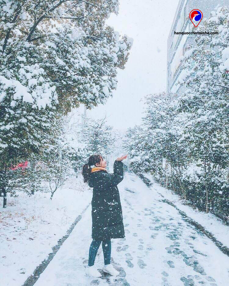 Du học sinh Hàn Quốc đón mùa tuyết đầu tiên