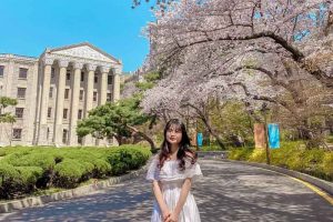 Du học sinh chia sẻ thực tế về chuyên ngành du lịch Đại học Kyunghee