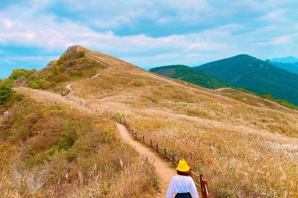 Chiêm ngưỡng cảnh sắc mùa thu đẹp như tranh vẽ trên núi Hwawangsan