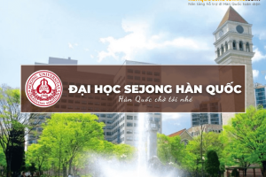 Sejong University: Thông tin tuyển sinh, đào tạo trường đại học Sejong