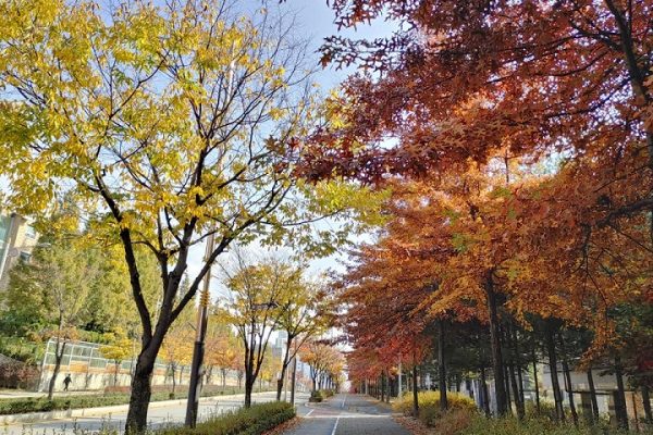 Thành phố Jeonju nơi khơi nguồn của văn hóa và ẩm thực Hàn Quốc