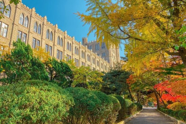 Choáng ngợp mùa thu lá vàng giữa lòng ngôi trường Đại học Kyung Hee