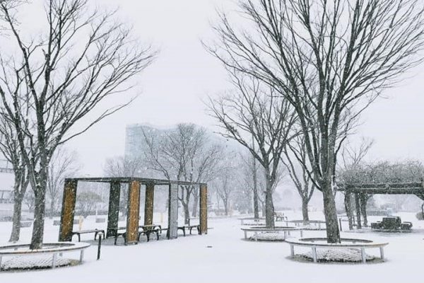 Tận hưởng mùa tuyết xứ Hàn ngay trong khuôn viên Đại học Korea Tech