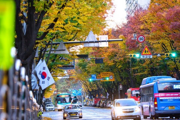 Mùa thu đượm màu cổ kính tại thành phố Gunpo tỉnh Gyeonggi