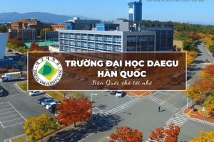 Trường Đại học Daegu Hàn Quốc: Daegu University – 대구대학교