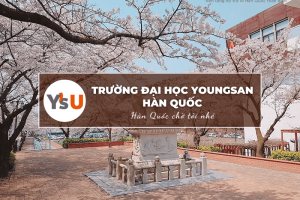 Trường Đại học Youngsan Hàn Quốc: Youngsan University – 영산대학교