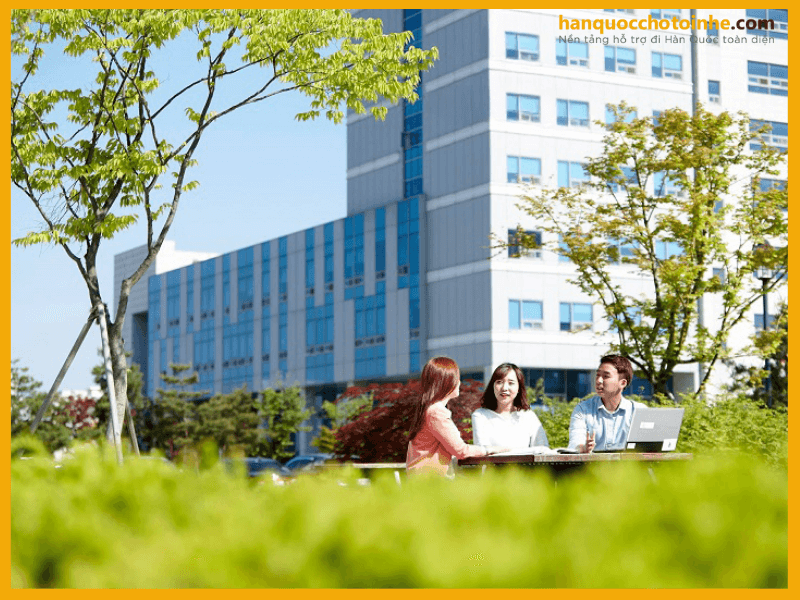 Đại học Soonchunhyang Chương trình đào tạo tổ chức thường xuyên