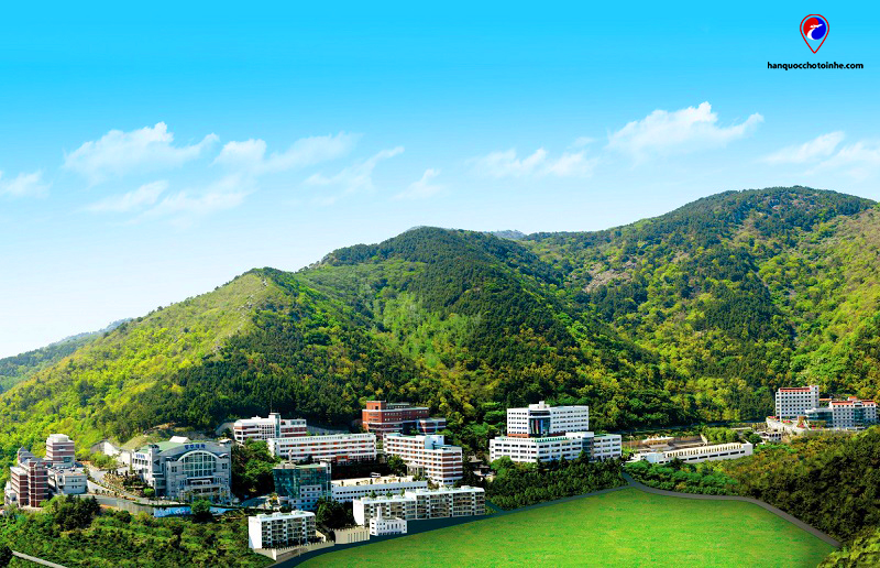 Trường Cao đẳng Dongju: Dongju College – 동주대학교