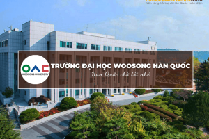 Trường Đại học Woosong Hàn Quốc: Woosong University – 우송대학교