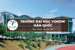 Trường Đại học Yongin Hàn Quốc: Yongin University – 용인대학교