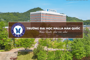 Trường Đại học Halla Hàn Quốc: Halla University – 한라대학교
