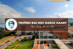 Trường Đại học Daegu Haany: Daegu Haany University – 대구한의대학교