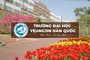 Trường Đại học Yeungjin Hàn Quốc: Yeungjin University 영진전문대학교