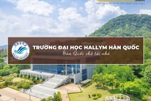 Trường Đại học Hallym Hàn Quốc: Hallym University – 한림대학교