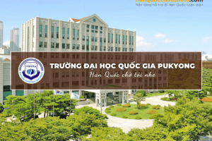Trường Đại học Quốc gia Pukyong: Pukyong National University 부경대학교