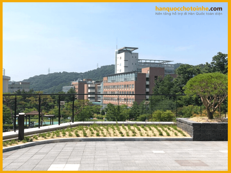 Trường có tỉ lệ sinh viên ra trường xin được việc làm cao nhất Hàn Quốc hiện nay