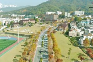 Trường Đại học Cheongju: Cheongju University 청주대학교