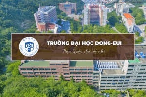 Trường Đại học Dong-Eui: Dong-Eui University 동의대학교