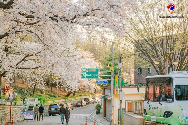Du lịch Hàn Quốc mùa nào đẹp nhất trong năm