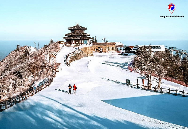 TOP 5 kinh nghiệm và địa điểm du lịch Hàn Quốc tháng 2 đẹp nhất