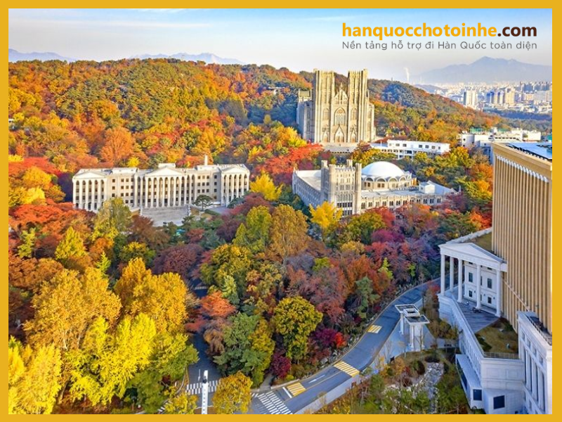Tổng hợp các trường Đại học ở Seoul nổi tiếng hàng đầu Hàn Quốc