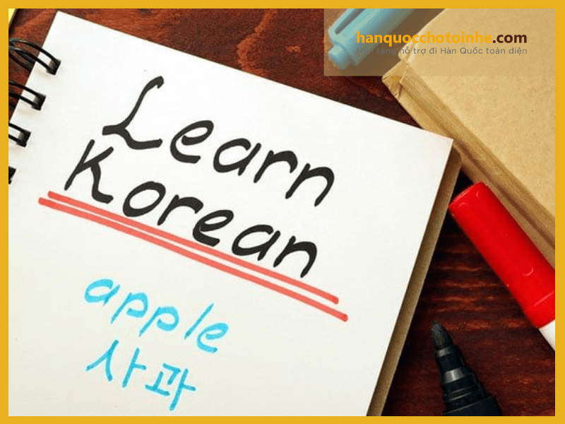 Nên học tiếng Hàn hay tiếng Trung