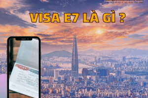 Visa E7 là gì? Những thông tin về Visa E7 mà bạn cần biết