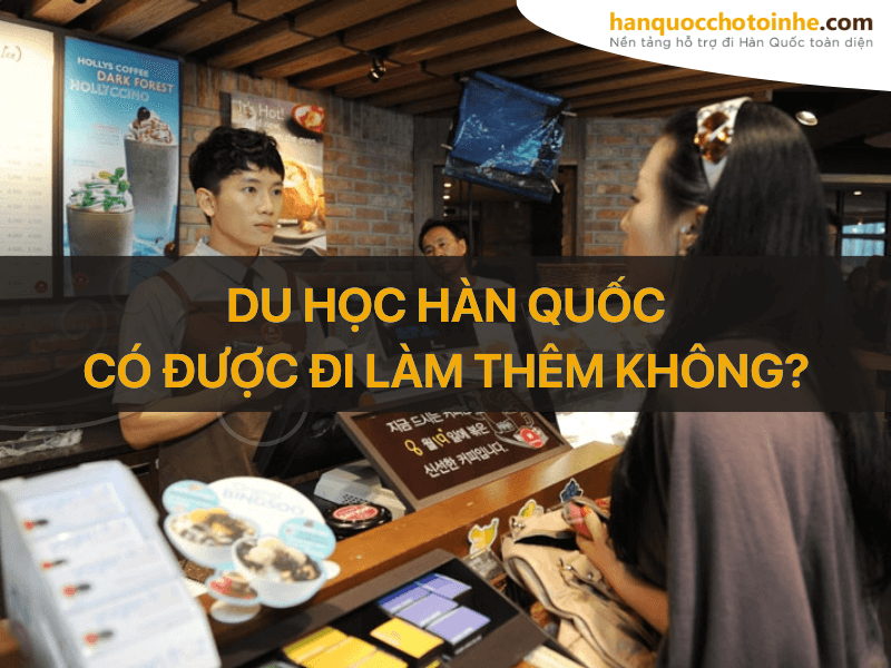 Giải đáp du học Hàn Quốc có được đi làm thêm