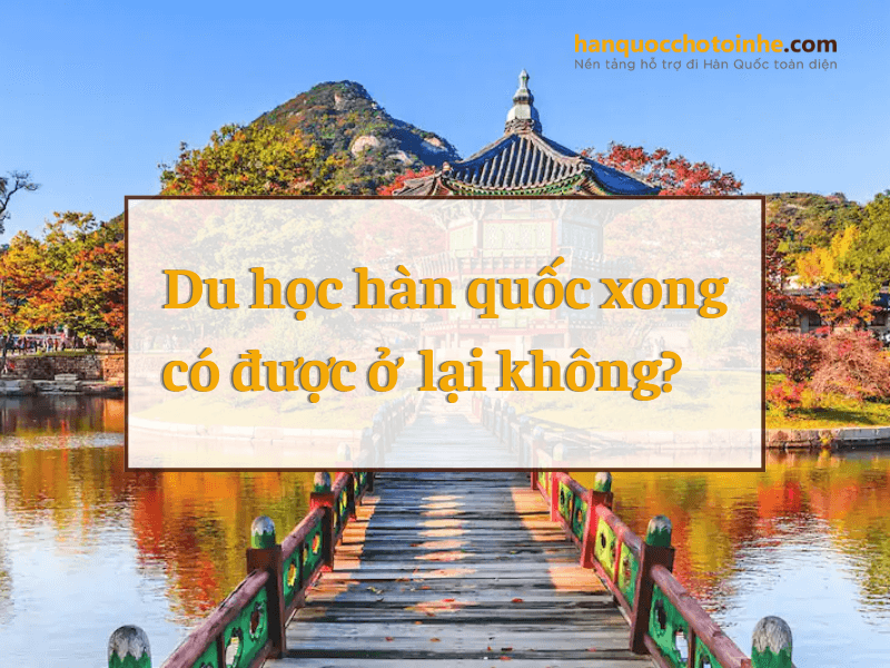 Du học hàn quốc xong có được ở lại không