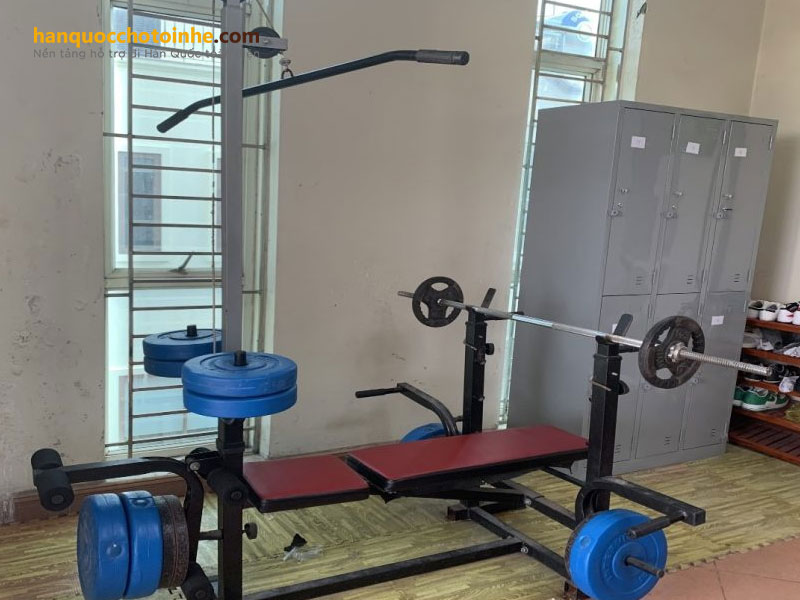 Trang thiết bị tập gym