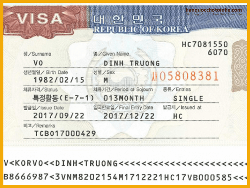 Quyền lợi của Visa E7