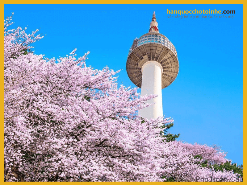 Tháp Namsan - Tòa tháp cao nhất Seoul