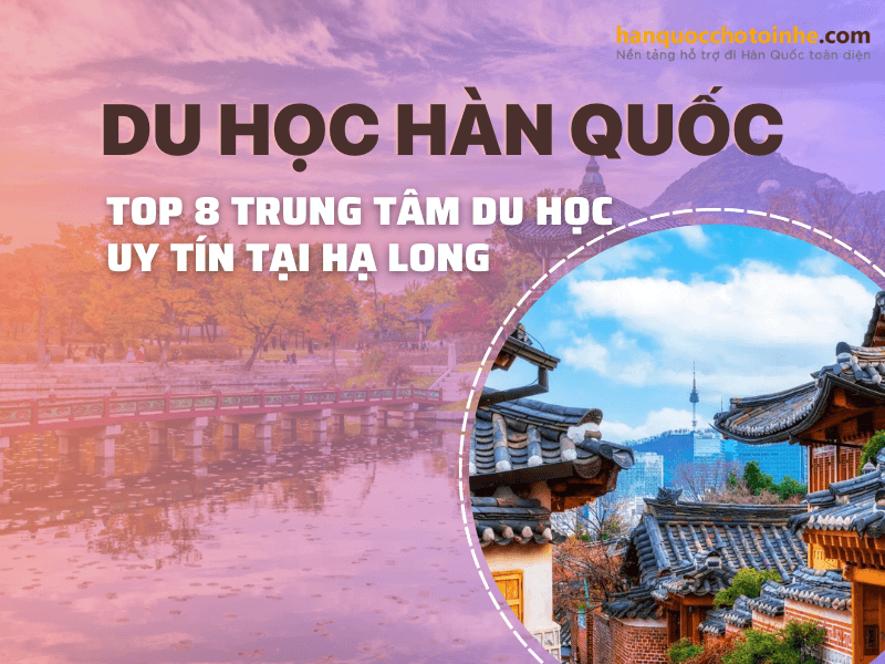 Top 8 Trung tâm du học Hàn Quốc tại Hạ Long