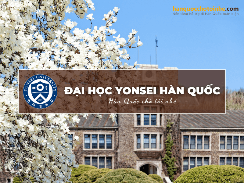 Trường đại học Yonsei Hàn Quốc – Yonsei University