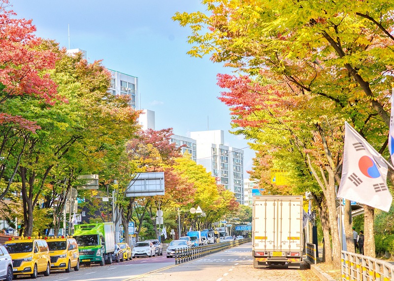 Mùa thu Hàn Quốc đẹp không thốt nên lời