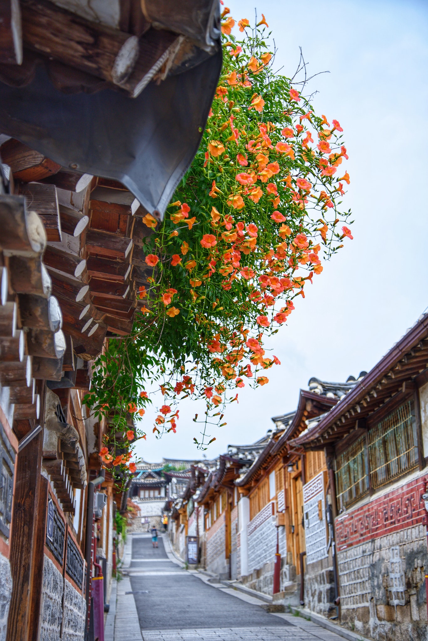 Hanok Bukchon mang lại sự bình yên cho du khách