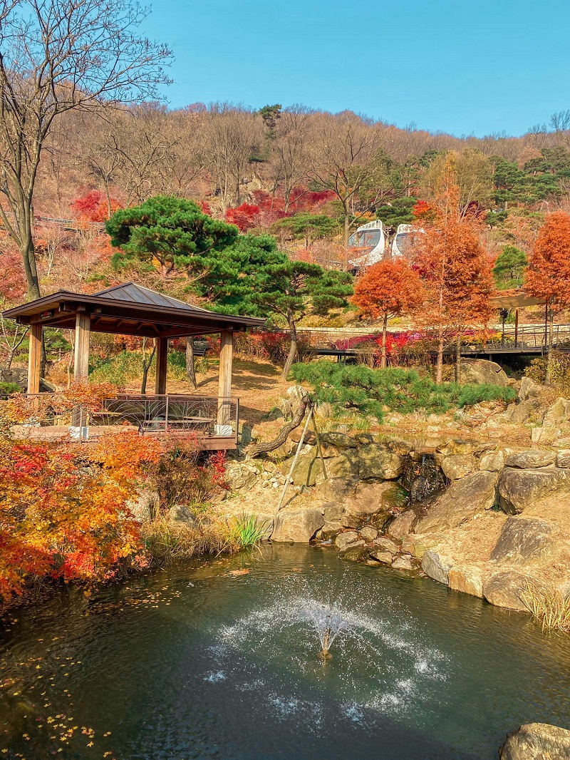 Trung tâm rừng là ngôi nhà hanok truyền thống