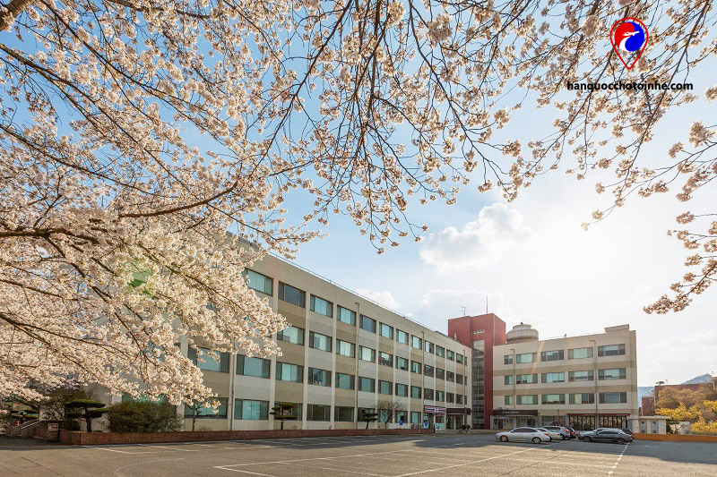 Kyungil University