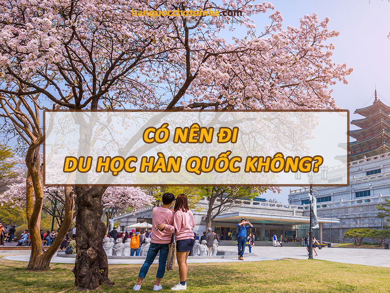 Có nên đi du học Hàn Quốc hay không?