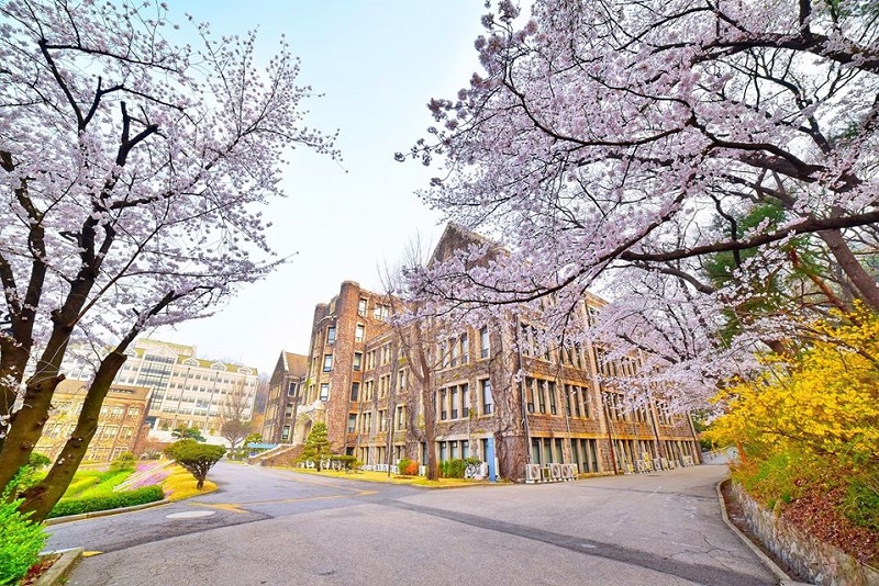 Đại học Yonsei 