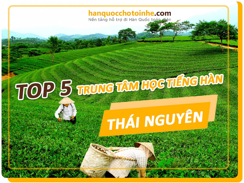 trung-tam-hoc-tieng-han-tai-thai-nguyen